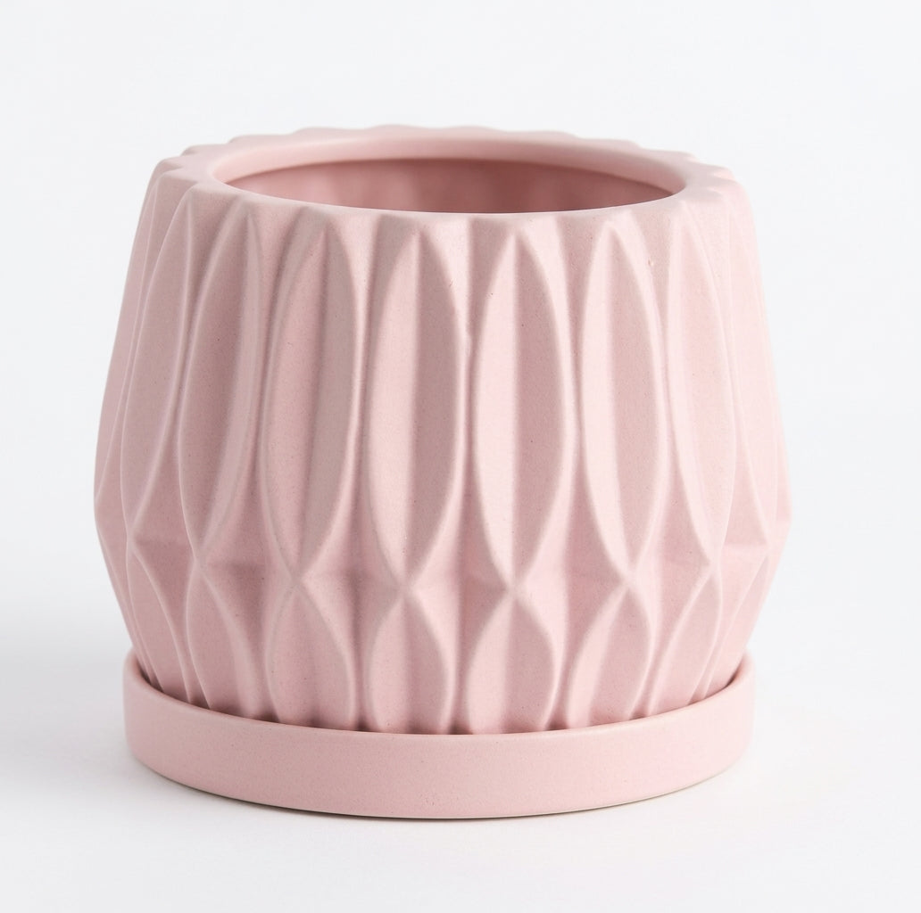 Good Fortune Bamboo – Table Garden