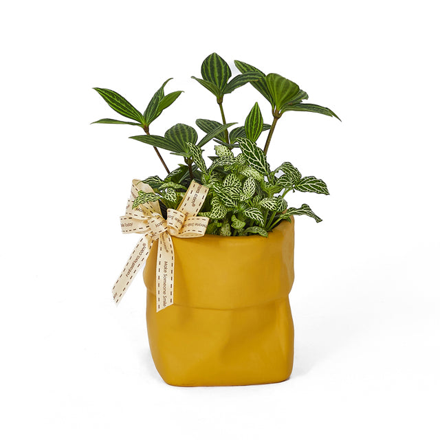 Bag Of Greens - Table Garden