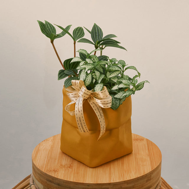 Bag Of Greens - Table Garden