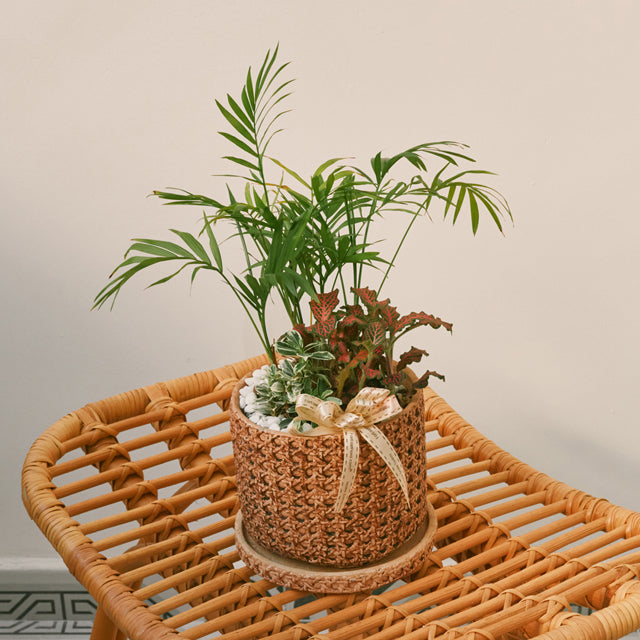 Zen Garden - Table Garden