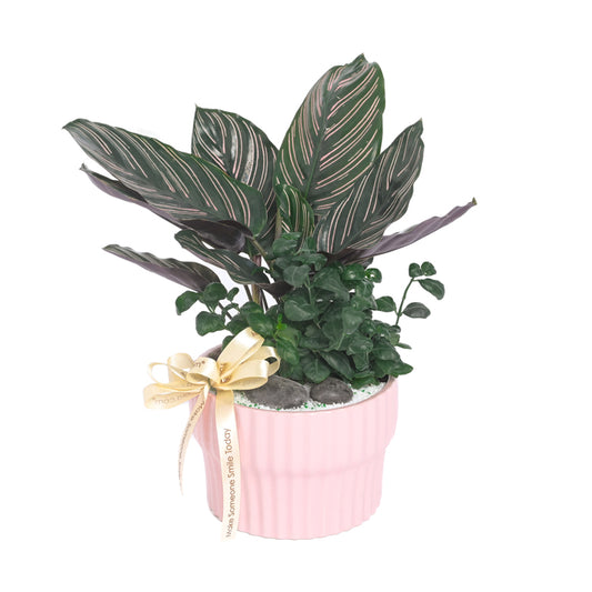 Noir Grove – Table Garden