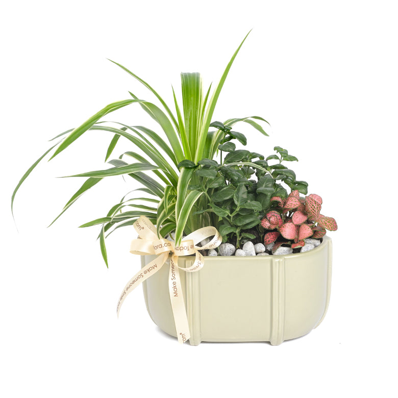 Green Poetry – Table Garden