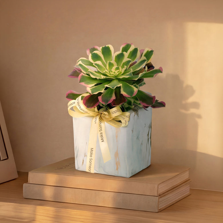 Marble Serenity – Table Garden