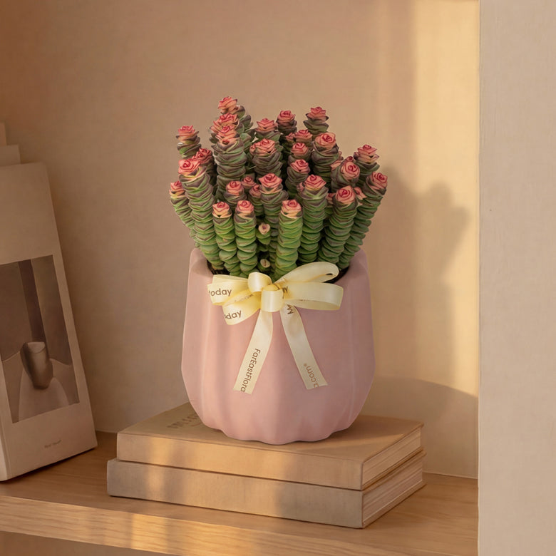 Pink Rosette – Table Garden