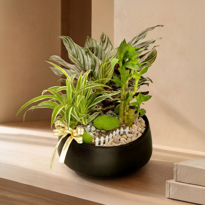Little Sanctuary – Table Garden