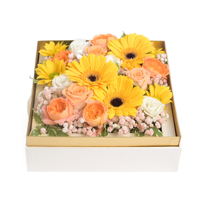 Box Of Sunshine