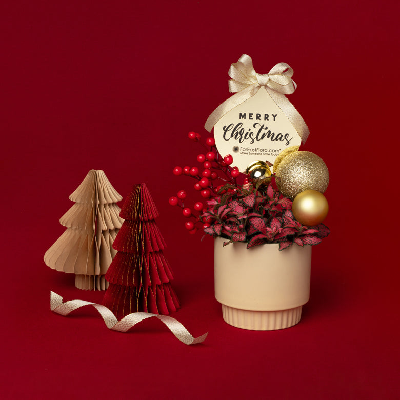 Festive Cheers