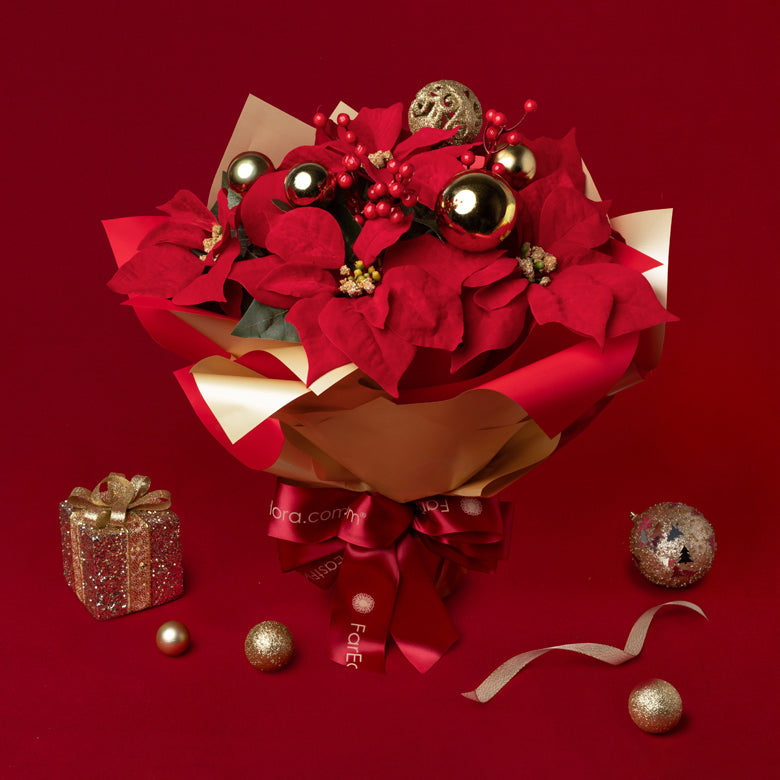 Festive Classic Blooms – Fresh Poinsettia