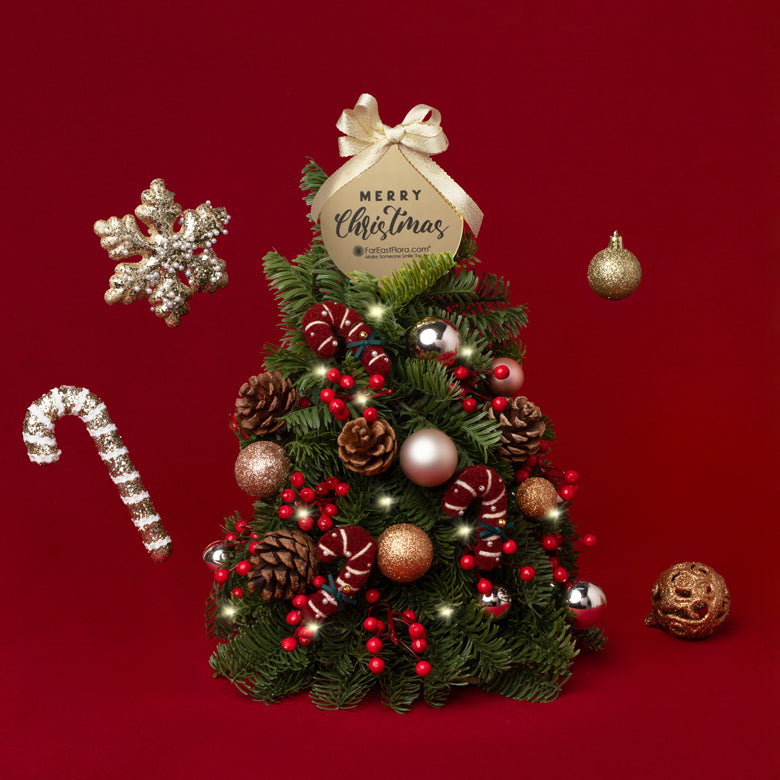Miniature Candy Forest - Mini Fresh Christmas Tree 30cm