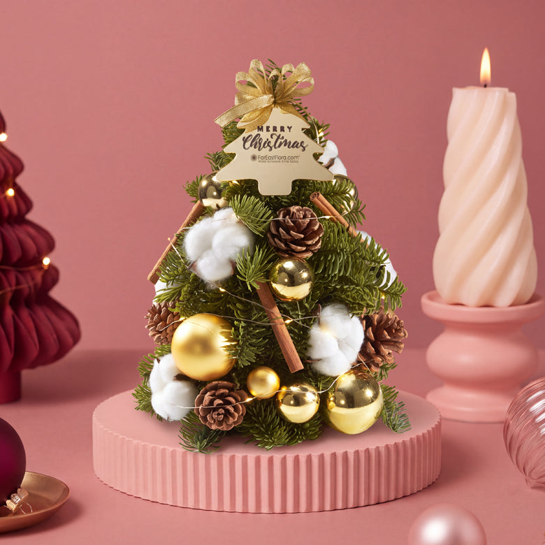 Cinnamon Snow Forest - Mini Fresh Christmas Tree 30cm