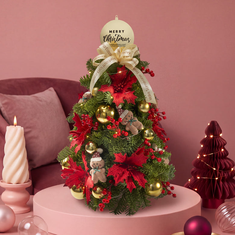 Gingerbread’s Forest - Mini Fresh Christmas Tree 50cm