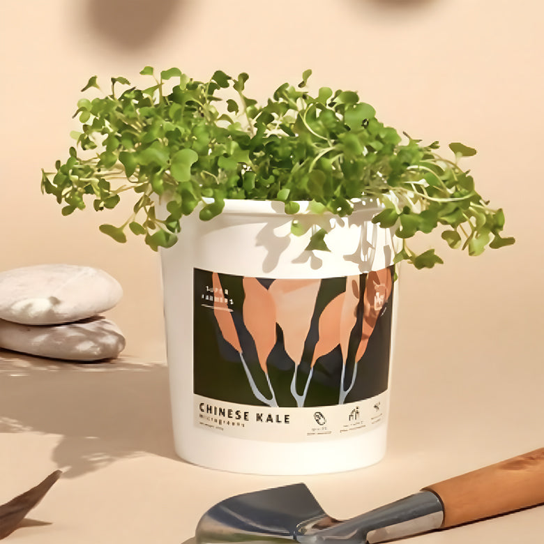 Super Farmers Chinese Kale Microgreens Single Starter Kit x Flowers