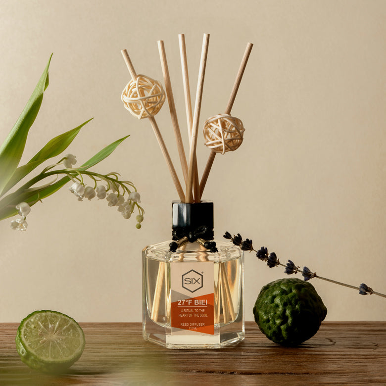 27°F Biei Reed Diffuser by Scent by Six
