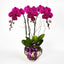 Congratulatory Flowers