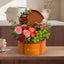 Ruby Orchard - Premium Fruits Hamper