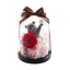 Preserved Flowers