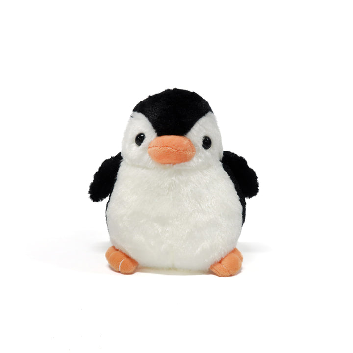 Lush Greenery Christmas Ellwoodii SG No. 1 Florist