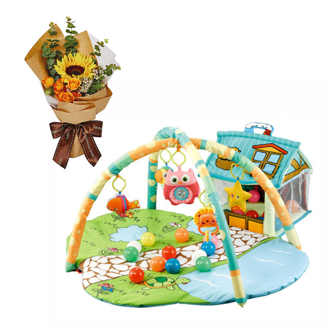 BD20 - Shears House Playgym