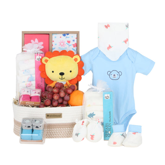 Snuggle Bundle – Baby Hamper