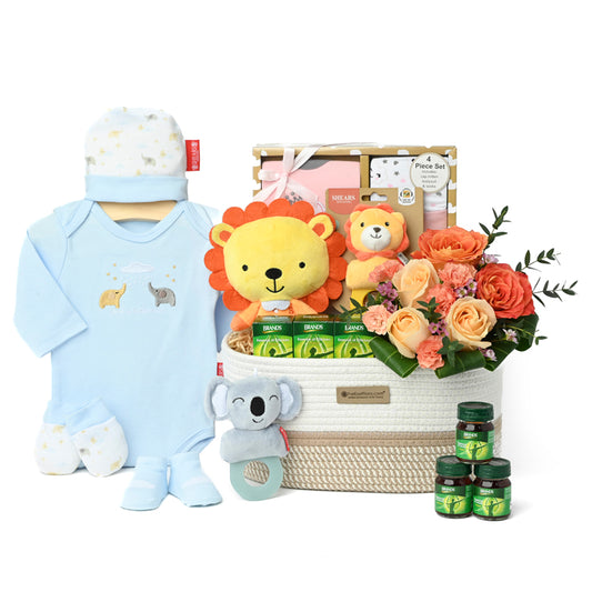 Wiggly Wonders – Baby Hamper