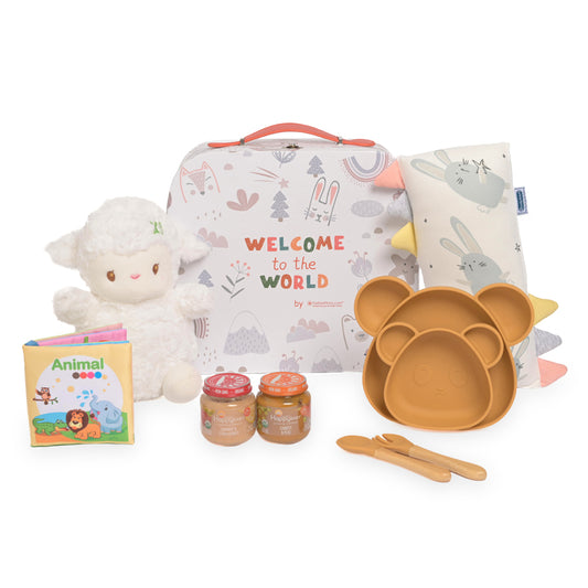 Hello World – Baby Hamper