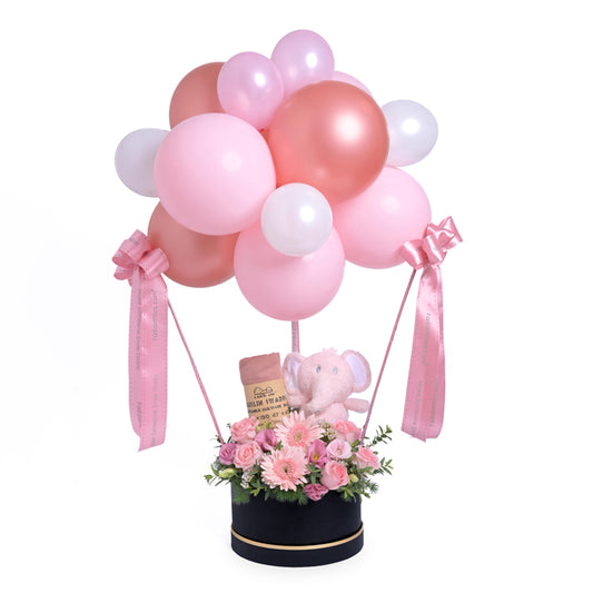 Up, Up & Adorable! (Girl) – Baby Hamper