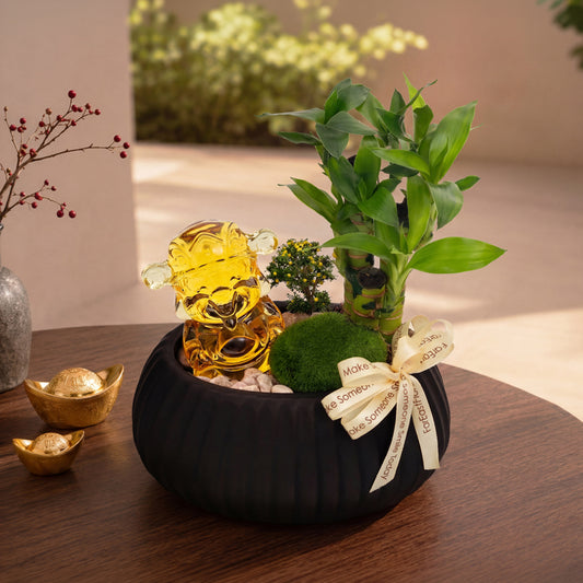 Wealth Guardian – Fengshui Gift