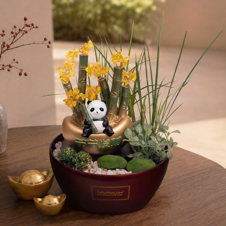 Panda Grove – Fengshui Gift