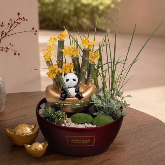 Panda Grove – Fengshui Gift