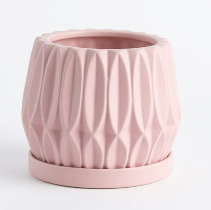 Good Fortune Bamboo – Table Garden