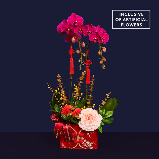 Blooms Of Longevity - Phalaenopsis