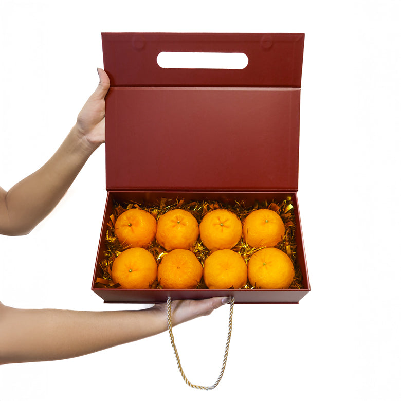 六马奔腾 Golden Steed of Blessings – Orange Hamper