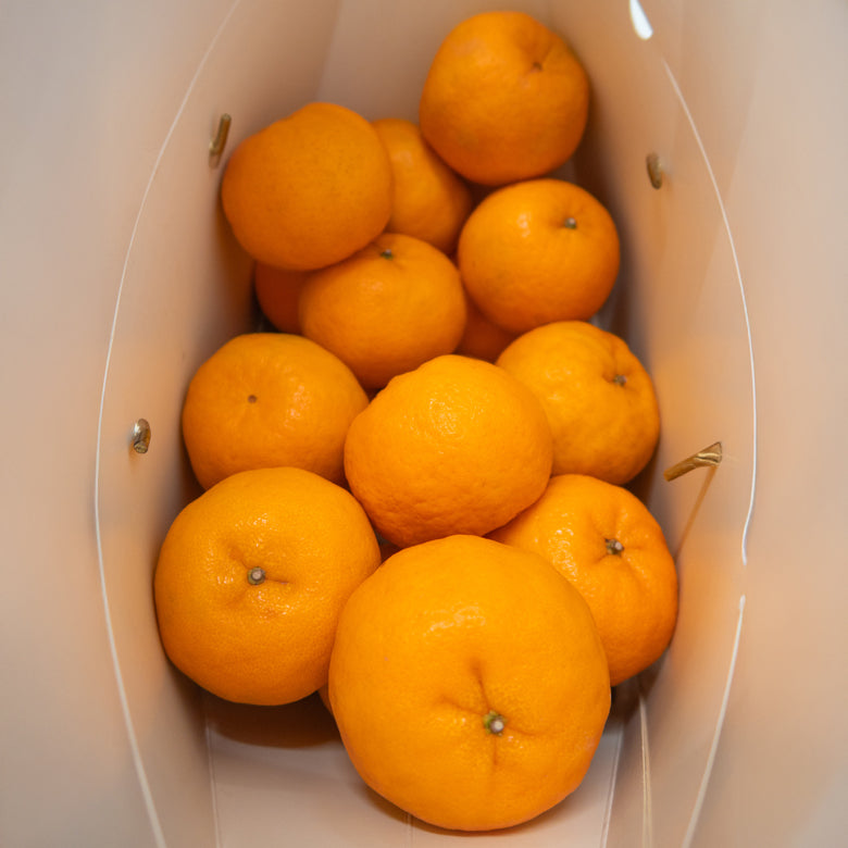 金宝迎春 Golden Treasures – Orange Hamper