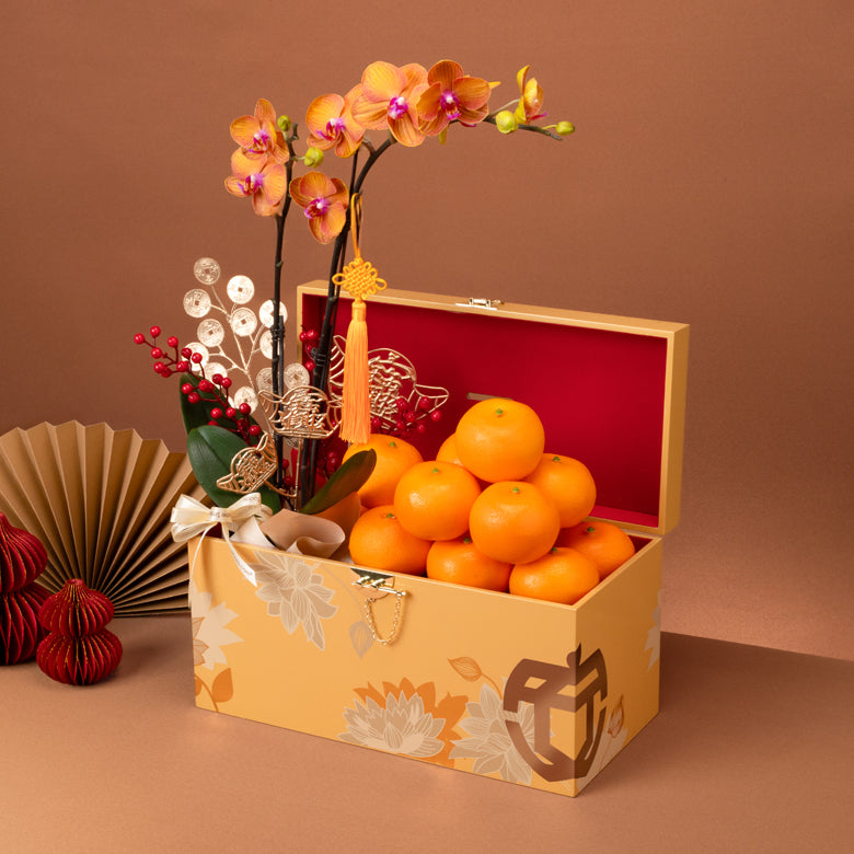 安福金兰 Golden Orchid x Bountiful Orange Hamper