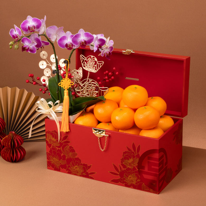 富贵兰馨 Prosperous Orchid Treasures x Bountiful Orange Hamper