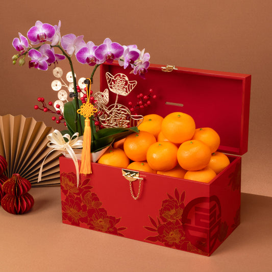 富贵兰馨 Prosperous Orchid Treasures x Bountiful Orange Hamper