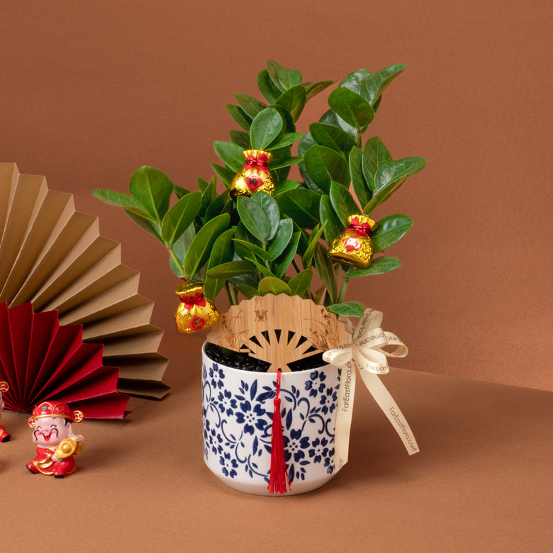 富叶长兴 Evergreen Fortune – Table Garden