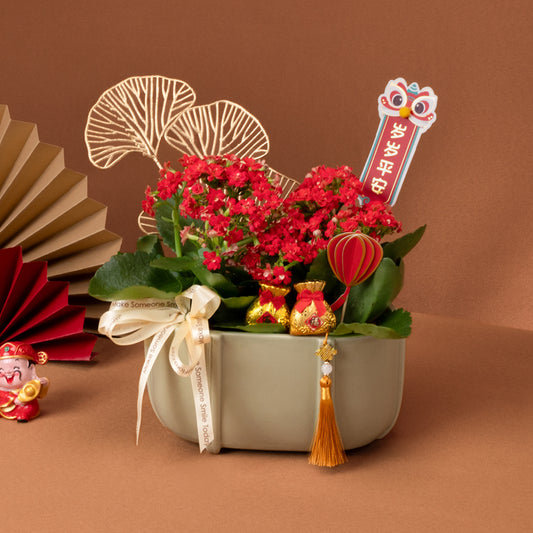 福绽盈彩 Prosperous Blossoms – Table Garden