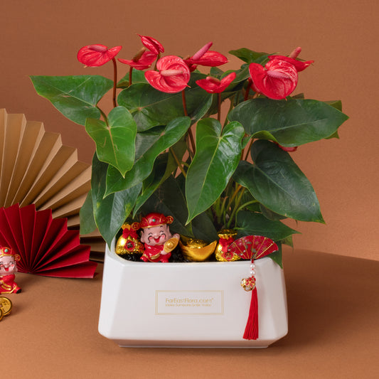 鸿喜映春 Radiant Joy – Table Garden