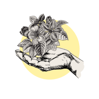Expert Florists