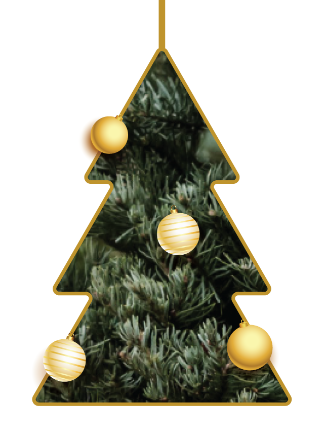 Christmas Trees