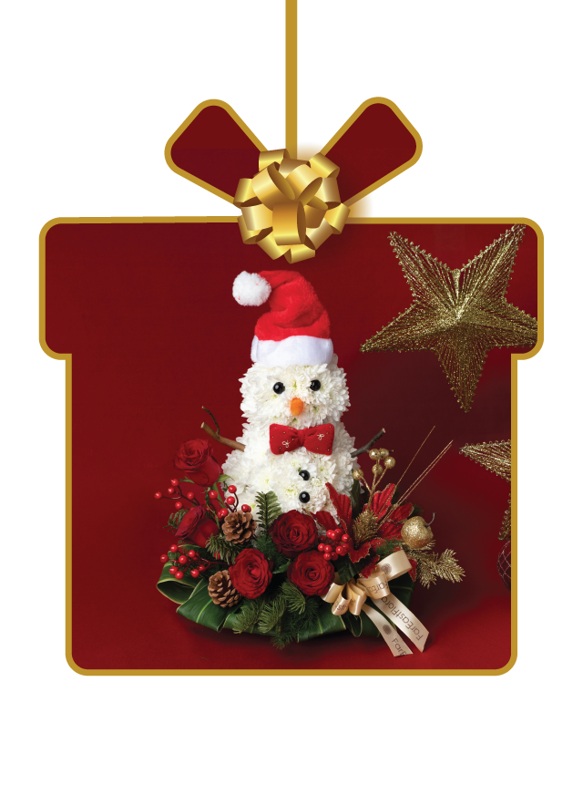 Gifts $120 - $250