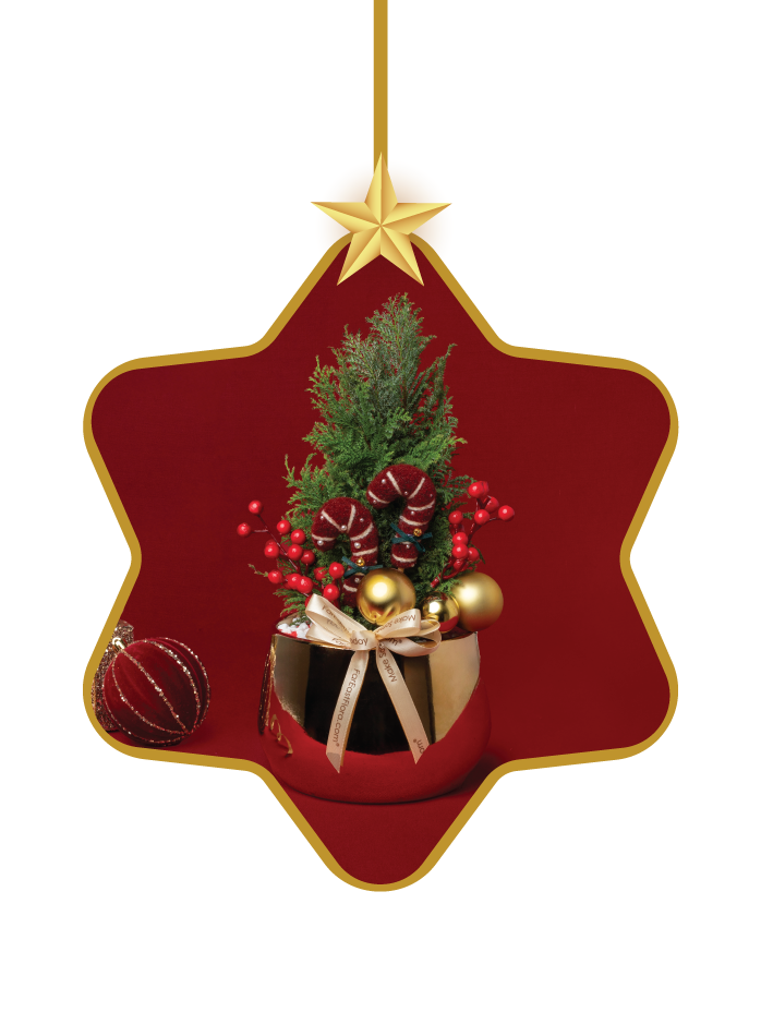 Christmas Evergreens