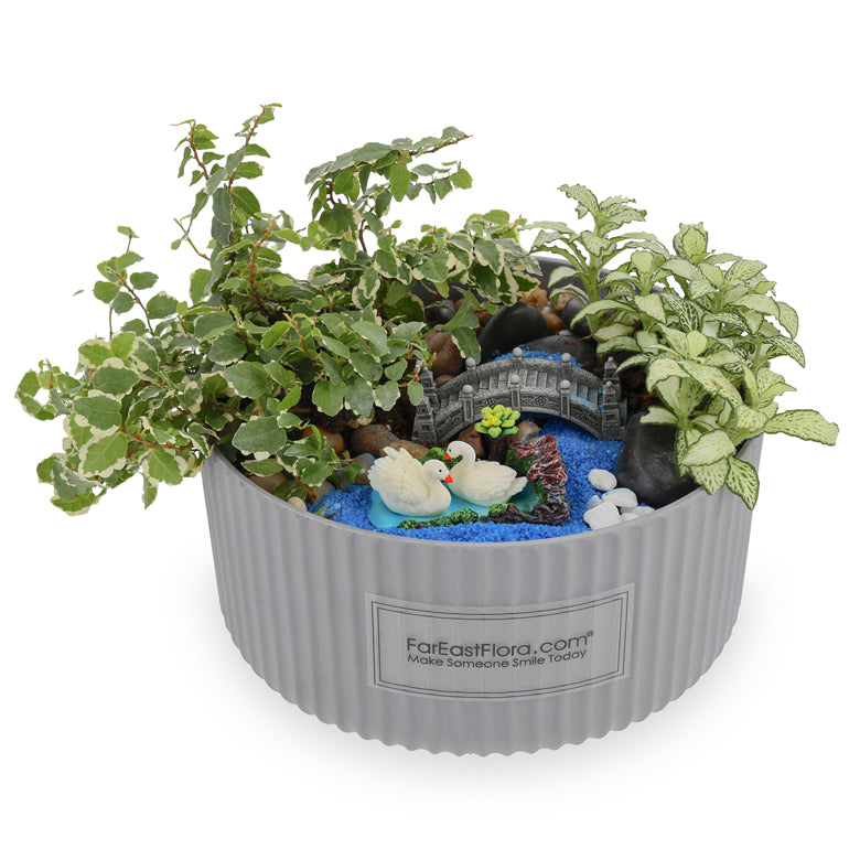 Verdant Vibes - Table Garden