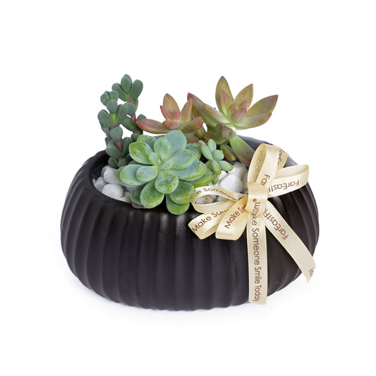 Midnight Zen – Table Garden