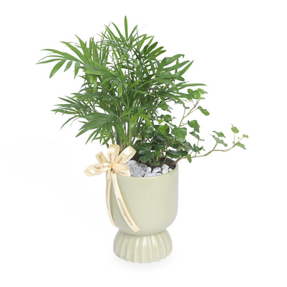 Garden Harmony – Table Garden