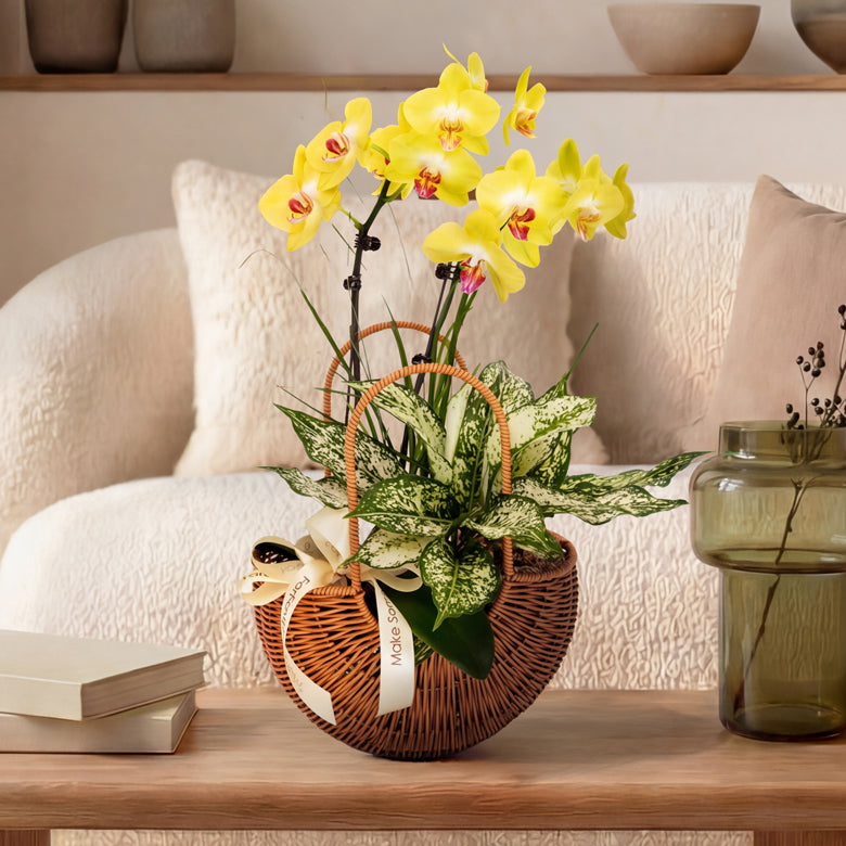 Woven Grace – Yellow Mini Phalaenopsis