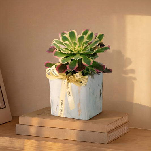 Marble Serenity – Table Garden