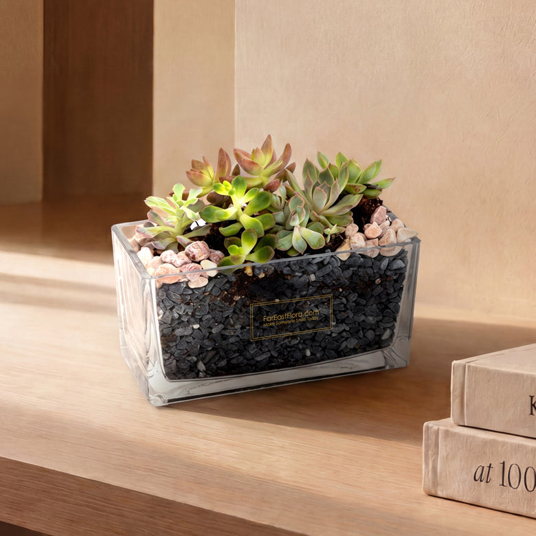 Open Meadow – Table Garden