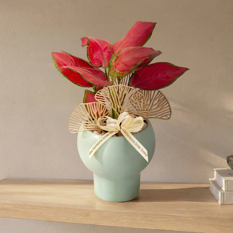 Scarlet Grace – Table Garden